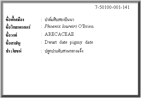กล่องข้อความ: 7-50100-001-141 ชื่อพื้นเมือง : ปาล์มสิบสองปันนา ชื่อวิทยาศาสตร์ : Phoenix loureiri O'Brien ชื่อวงศ์ : ARECACEAE ชื่อสามัญ : Dwart date pigmy date ประโยชน์ : ปลูกประดับสวนกลางแจ้ง